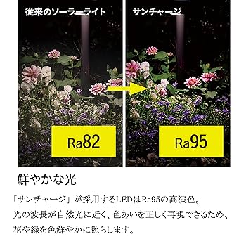 Amazon | タカショー ソーラーライト 屋外 ひかりノベーション